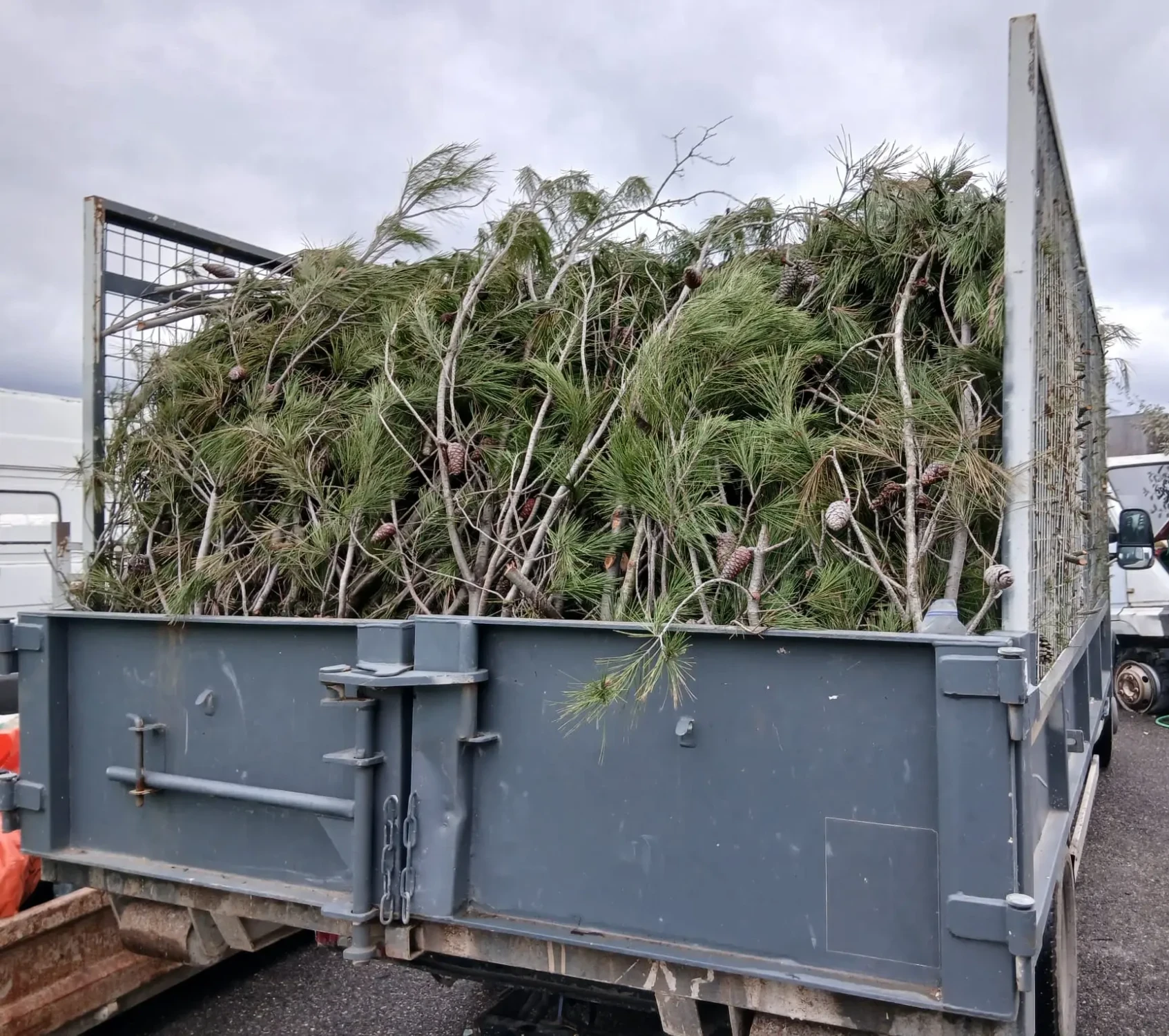 WhatsApp Image 2026-01-23 at 11.09.54 (1)